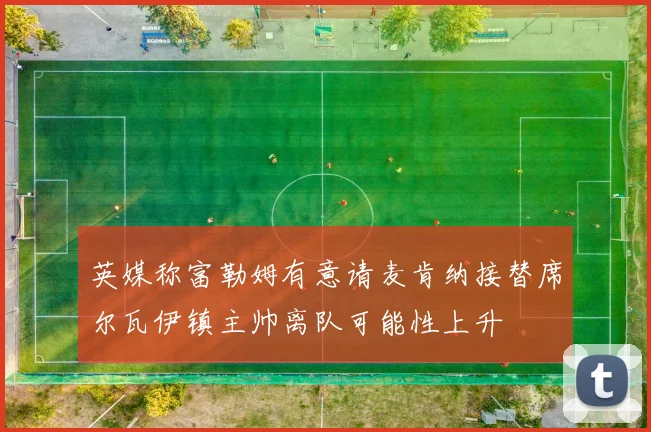 英媒称富勒姆有意请麦肯纳接替席尔瓦伊镇主帅离队可能性上升
