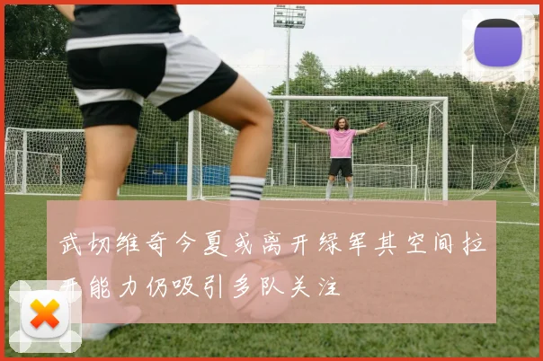 武切维奇今夏或离开绿军其空间拉开能力仍吸引多队关注